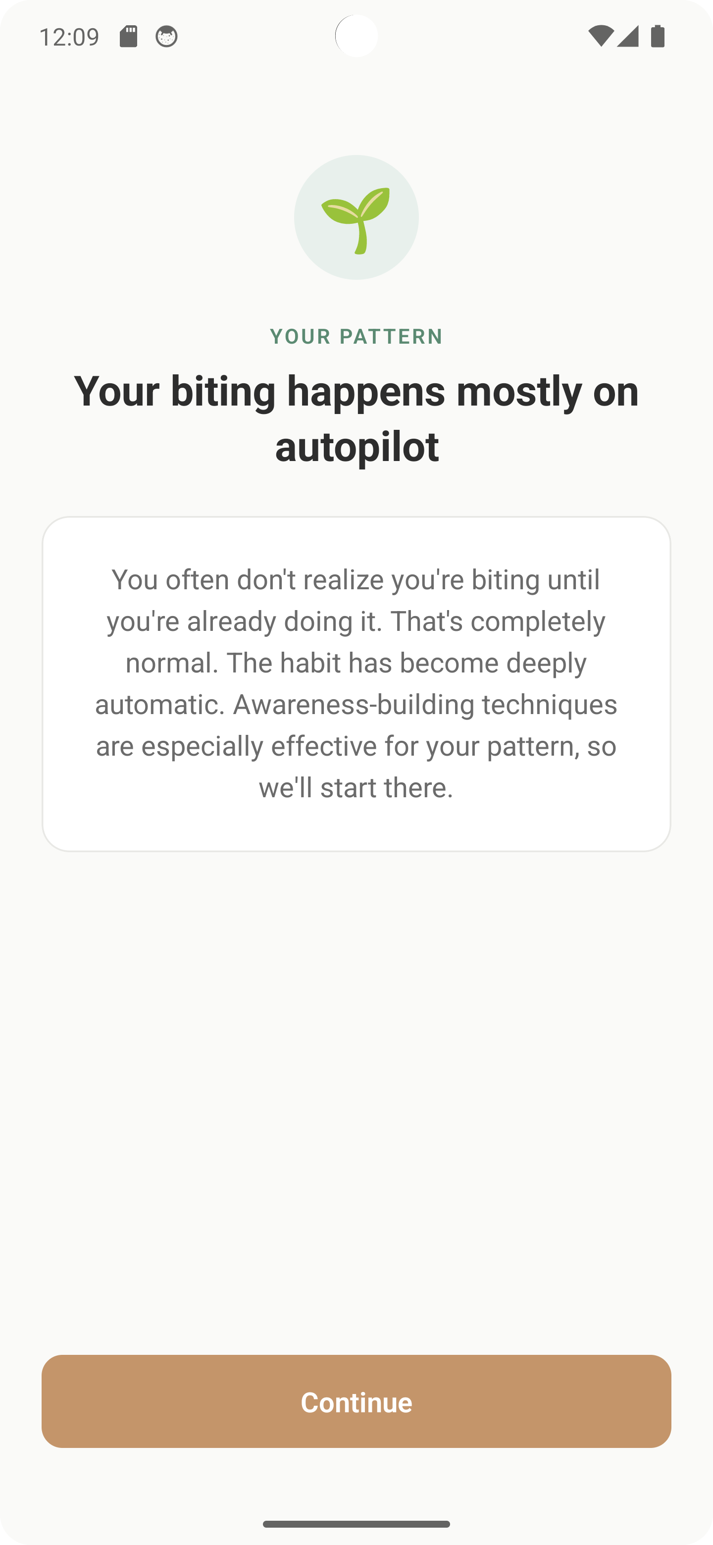 Personalization screen asking about your triggers